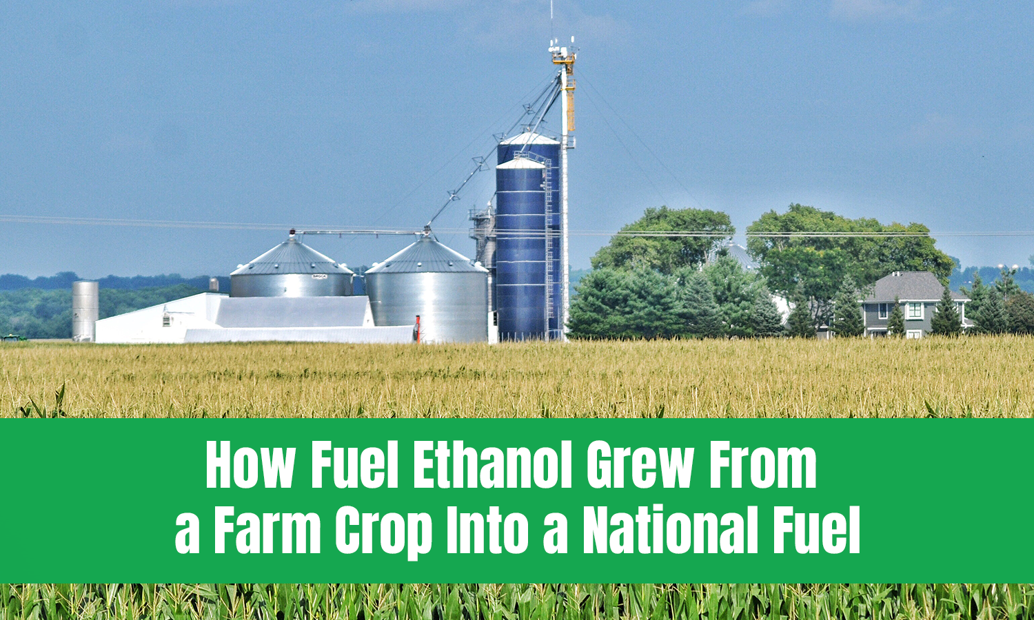 Ethanol Blending in India